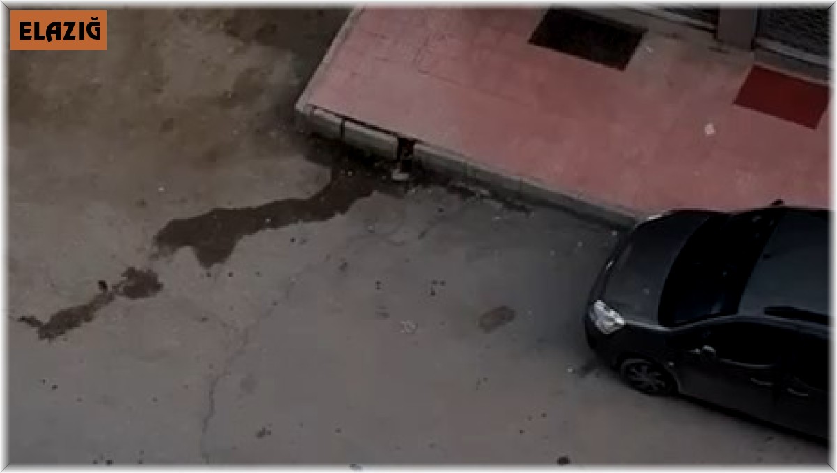 4'ncü kattan aracın üzerine düşen kadın ağır yaralandı