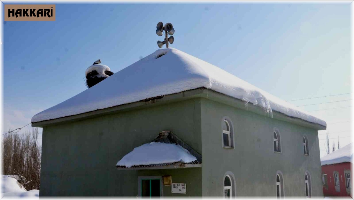 4 yıldır caminin bacasına yaptığı yuvada yaşayan leylek köyün vazgeçilmezi oldu