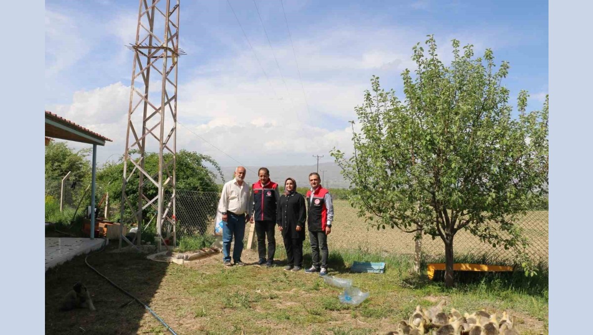 40 binin üzerinde ağaç diken Erzincanlı profesör, kazlarla biyolojik mücadele uyguluyor