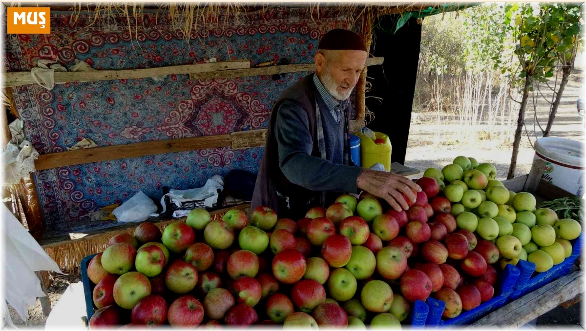 40 yıldır ürettiği sebze ve meyveleri yol kenarına kurduğu tezgahta satıyor
