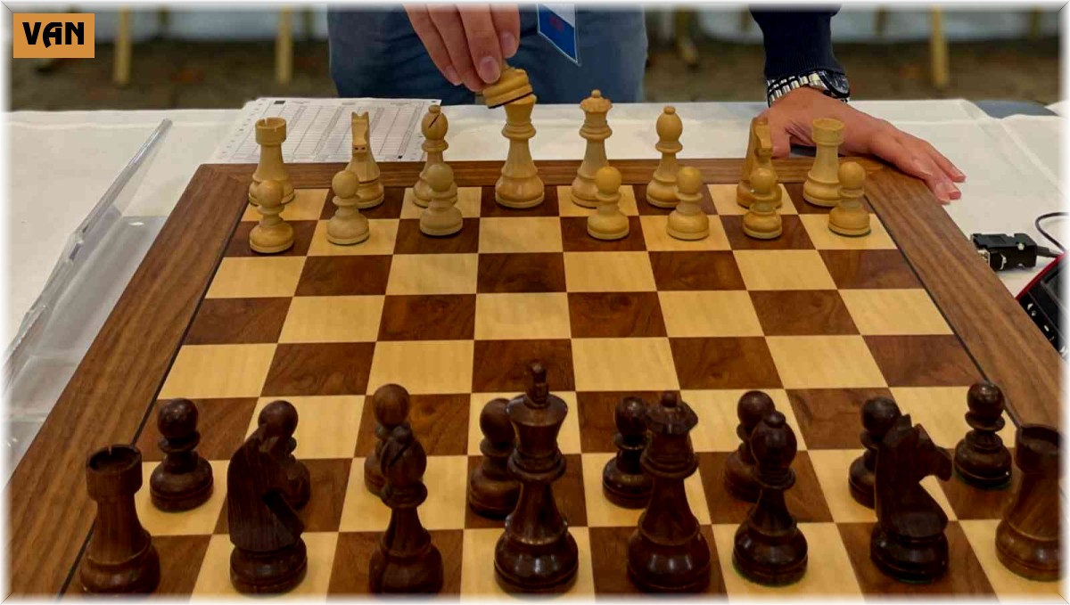 4B Yazılım'dan online satranç eğitimi