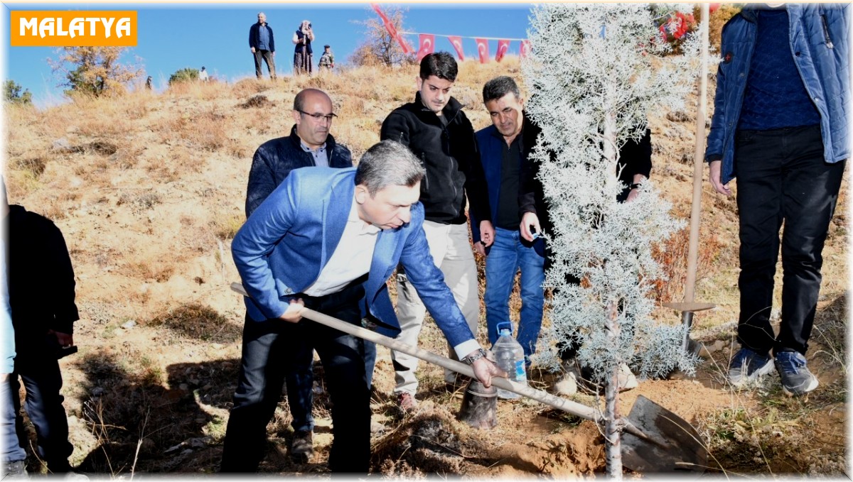 5 bin fidan toprakla buluştu