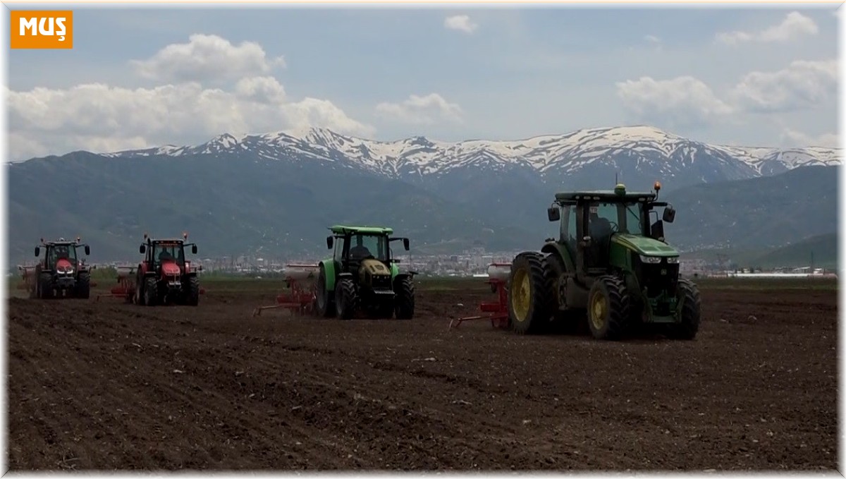 500 bin ton şeker pancarından 2 milyar TL gelir bekleniyor