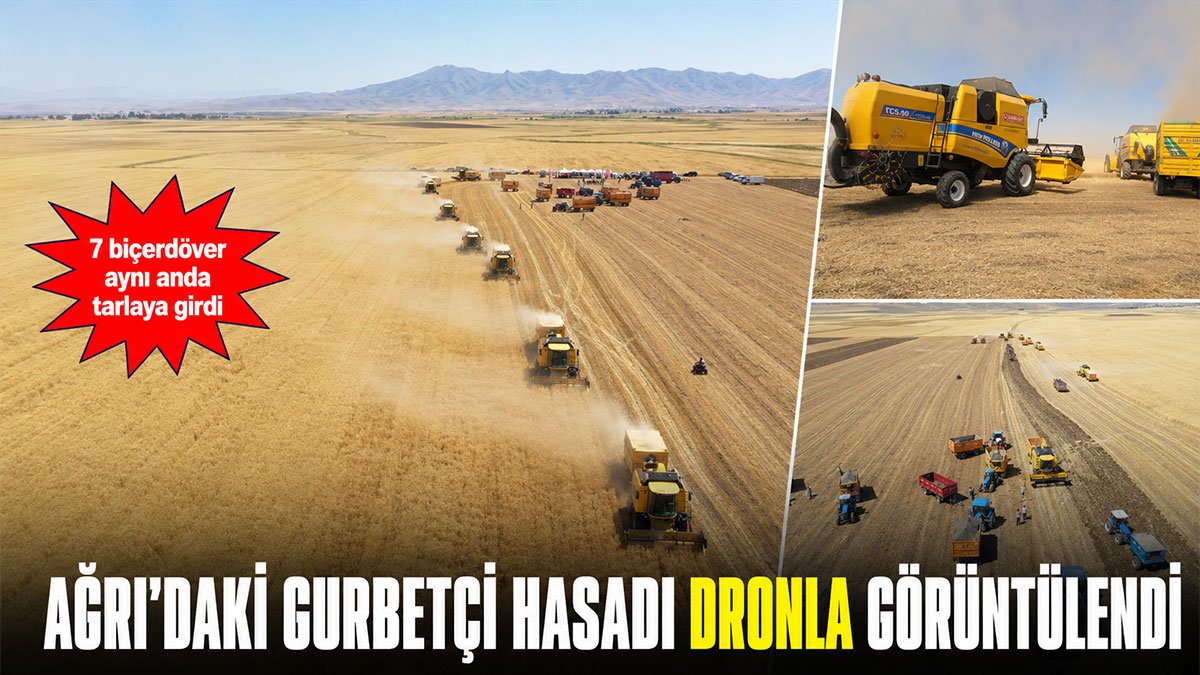 7 Biçerdöver Aynı Anda Tarlaya Girdi: Gurbetçilerin Desteğiyle Ağrı'da Bereketli Hasat