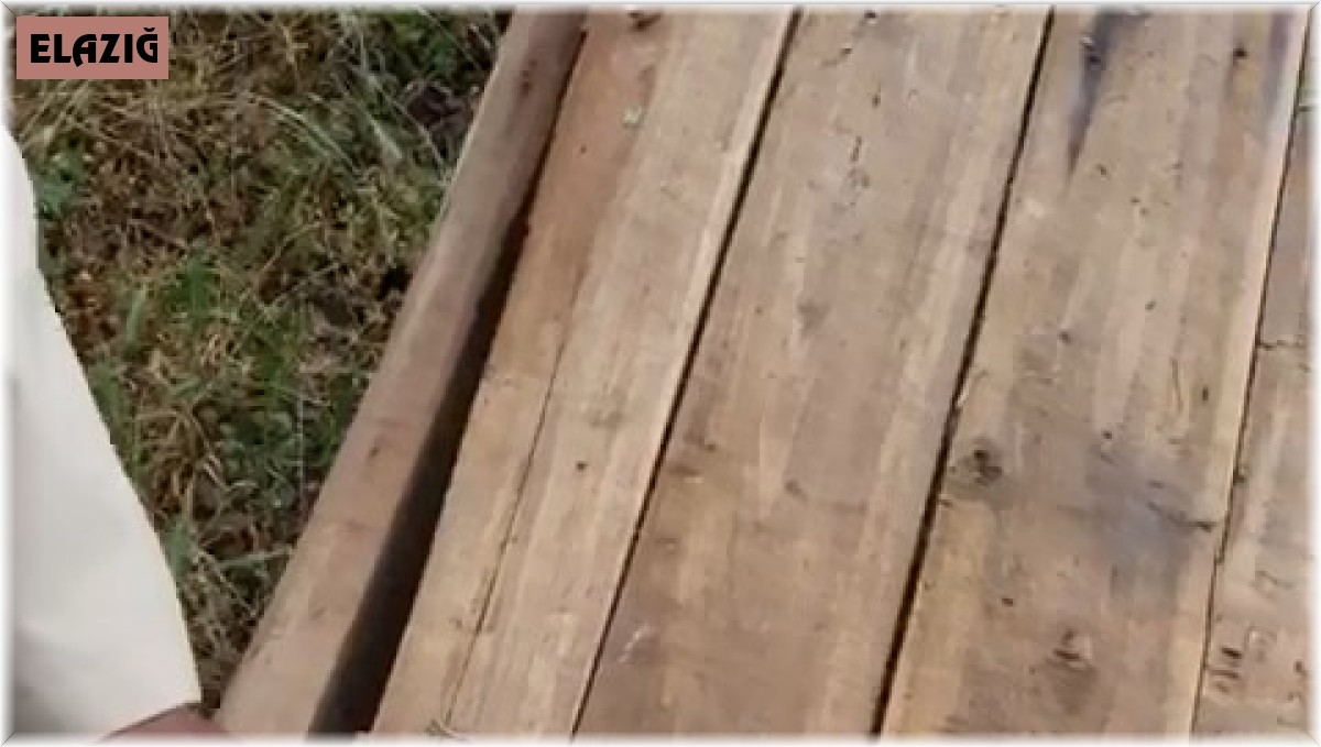 76 yaşındaki Akif Amca, yavru kargayı bebek gibi besliyor