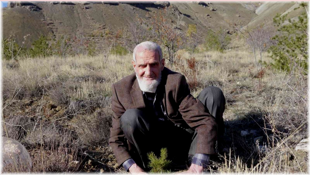 81'lik çınar fidan dikerek doğaya can veriyor