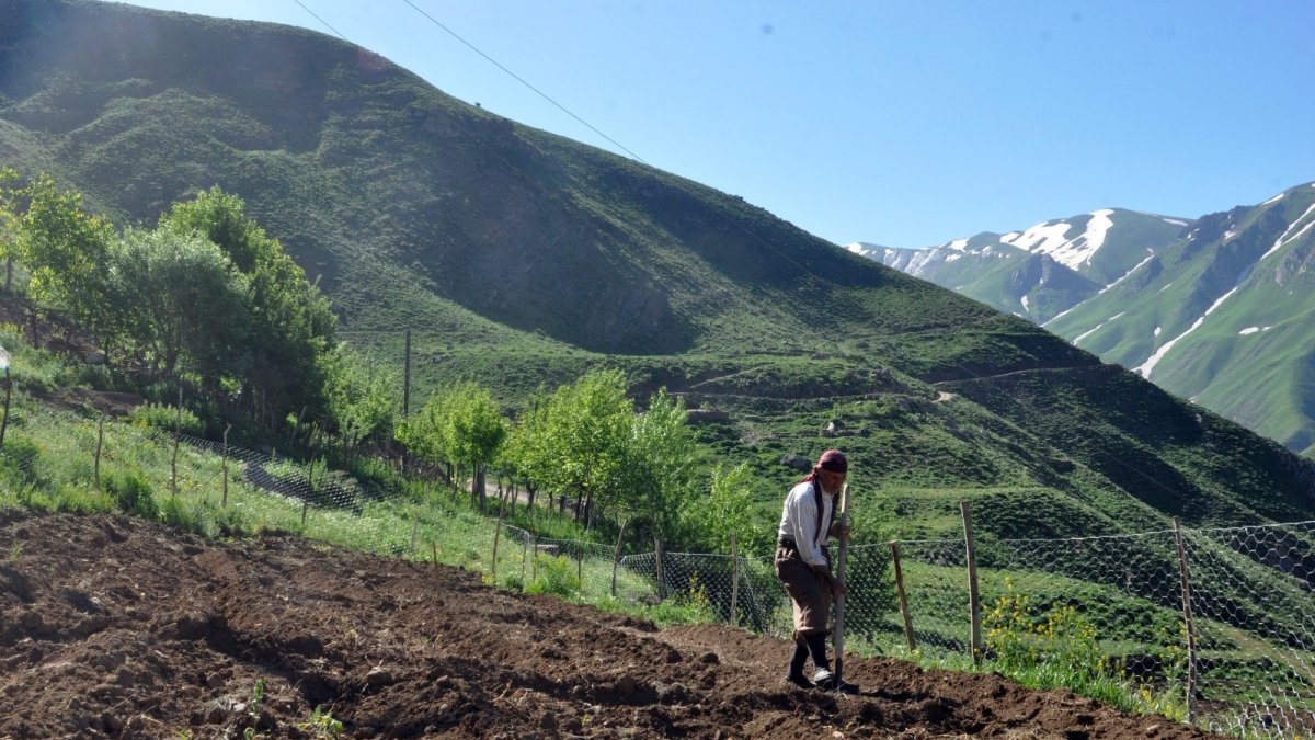 82 yaşındaki adam yıllardır tek başına köyde yaşıyor