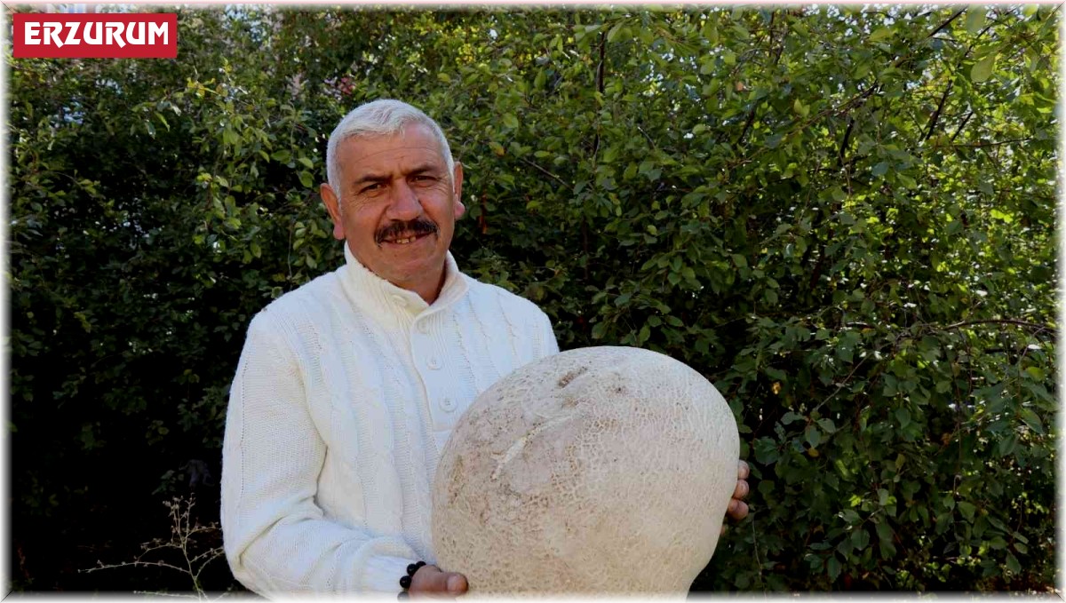 9 kiloluk mantar görenleri şaşırttı