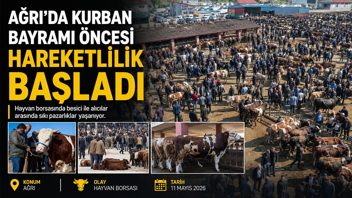 Ağrı'da kurbanlık pazarı hareketlendi: Sıkı pazarlıklar dronla görüntülendi