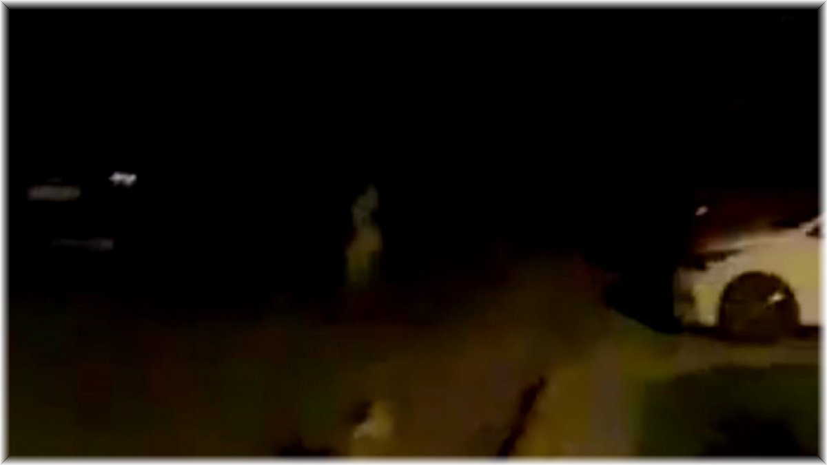 Aç kalan ayı, çöp konteynerinde yiyecek aradı