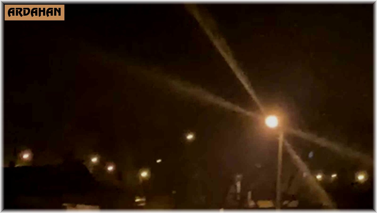 Aç kalan bozayı ilçe merkezine indi