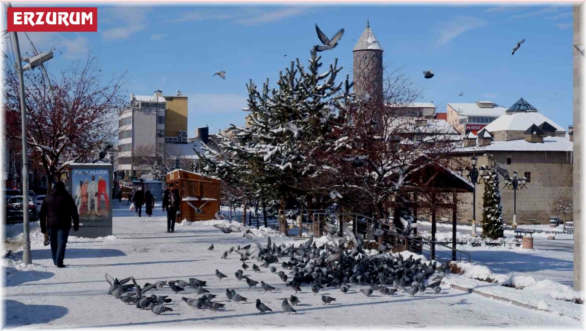 Aç kalan güvercinleri esnaf ve vatandaş besliyor