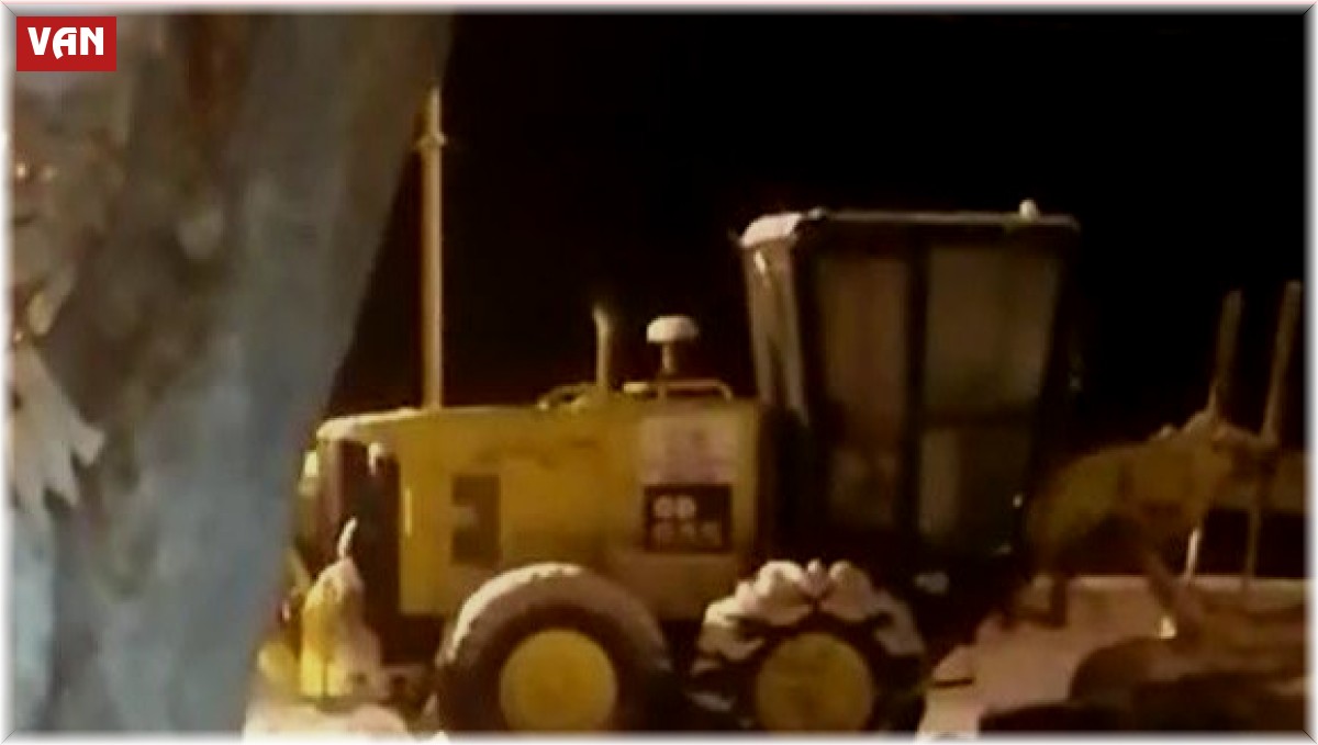 Aç kalan kurt ilçe merkezine indi