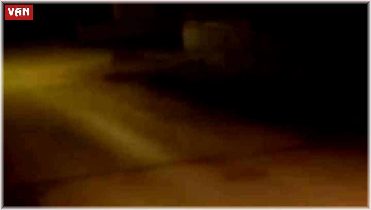 Aç kalan kurt ilçe merkezine indi