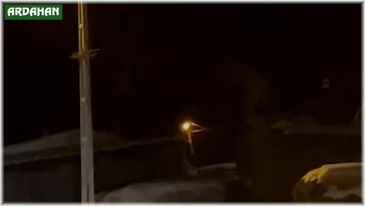 Aç kalan kurt, köpeği sürükleyerek götürdü