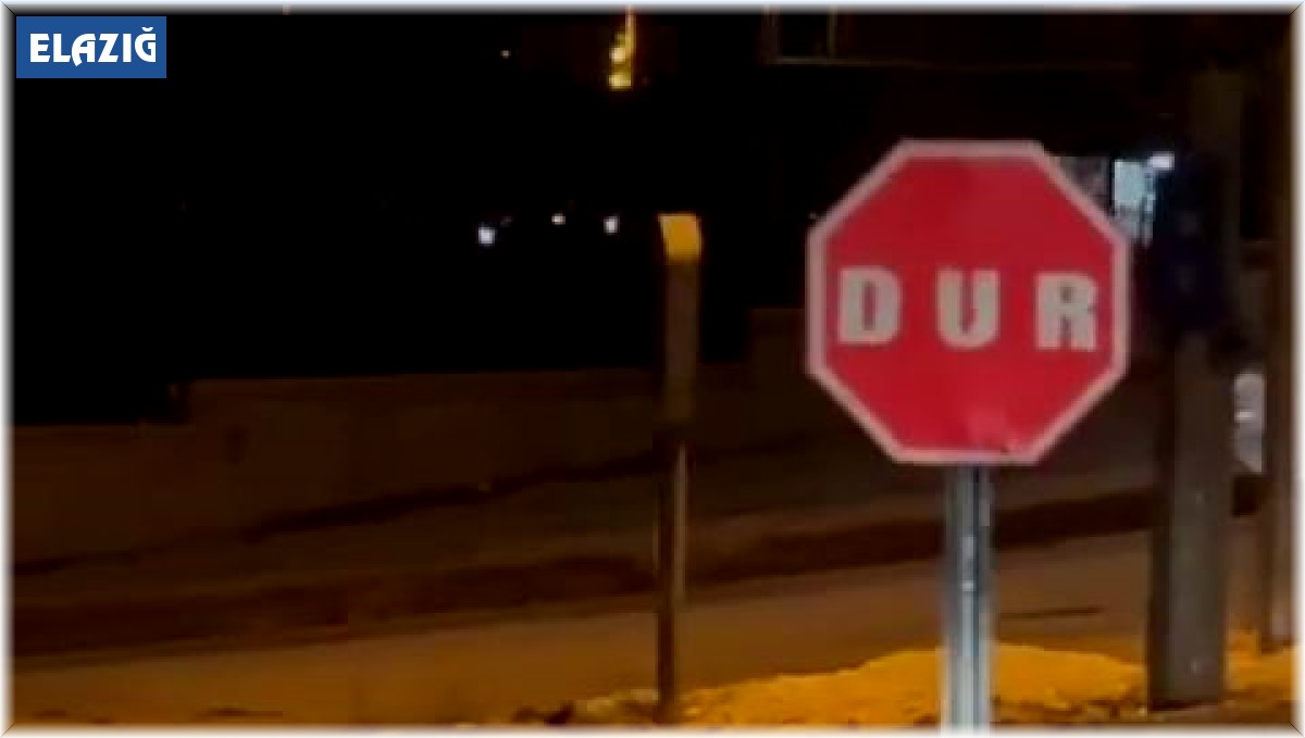 Aç kalan tilki şehir merkezine indi