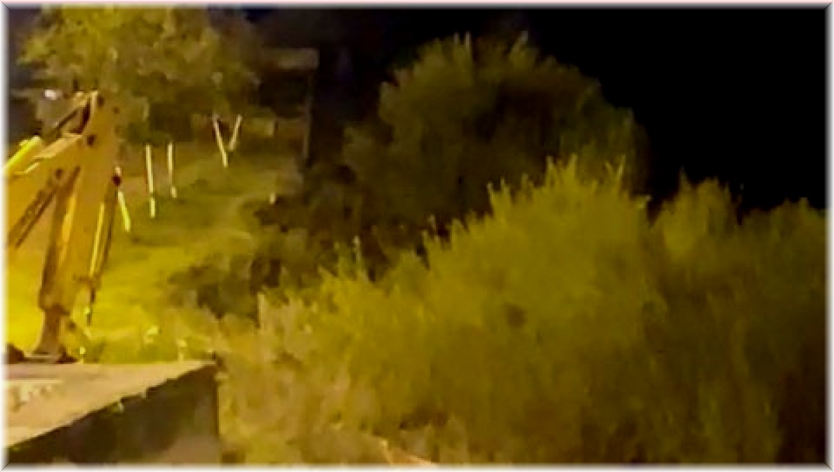 Aç kalan tilki şehre indi