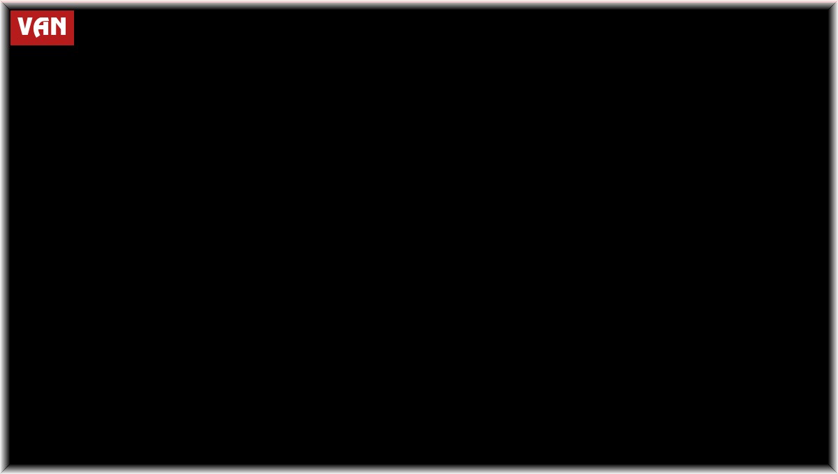 Aç kalan yavru ayı köye indi