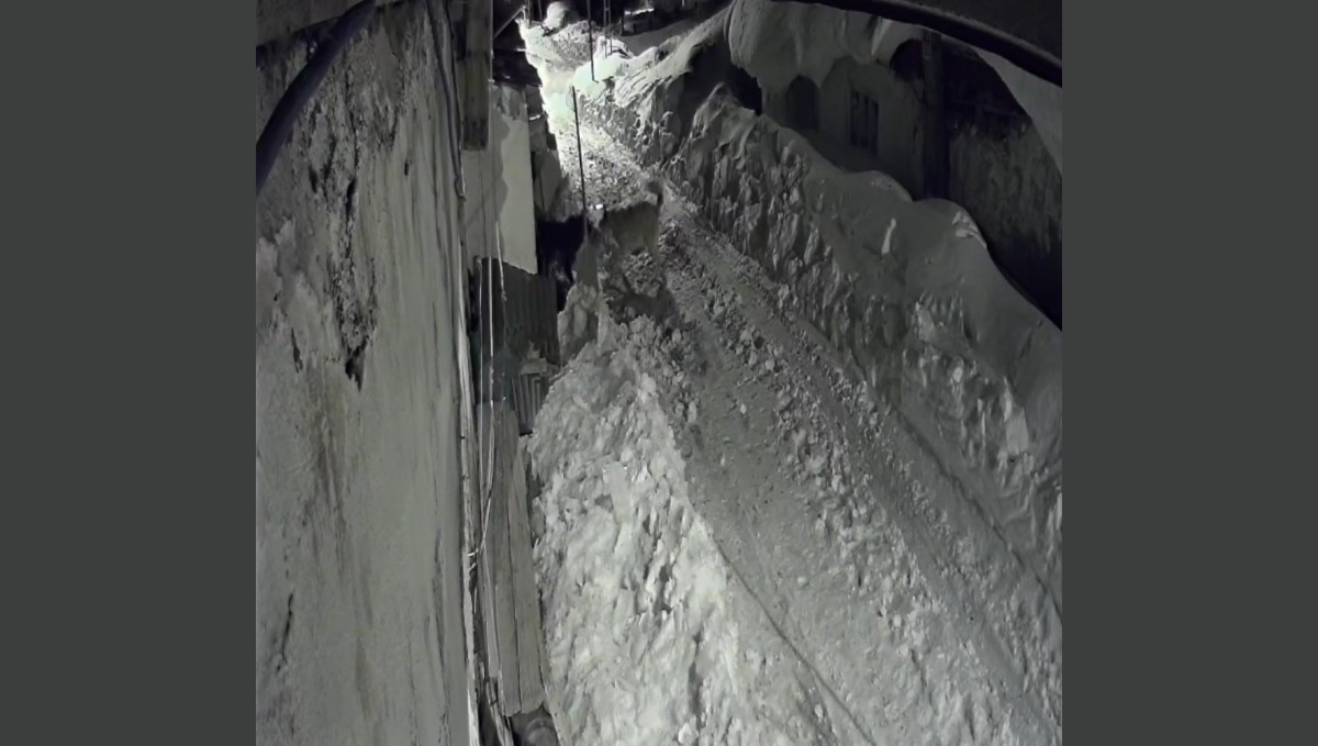 Aç kurt köye indi, köpeğe saldırdı