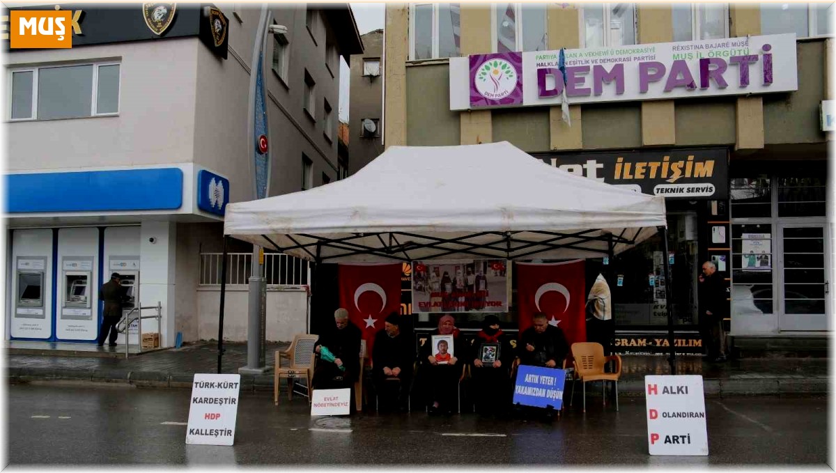 Acılı Anne Koçhan: "Onların çocukları üniversitelerde okuyor, bizimkiler de dağların başında"