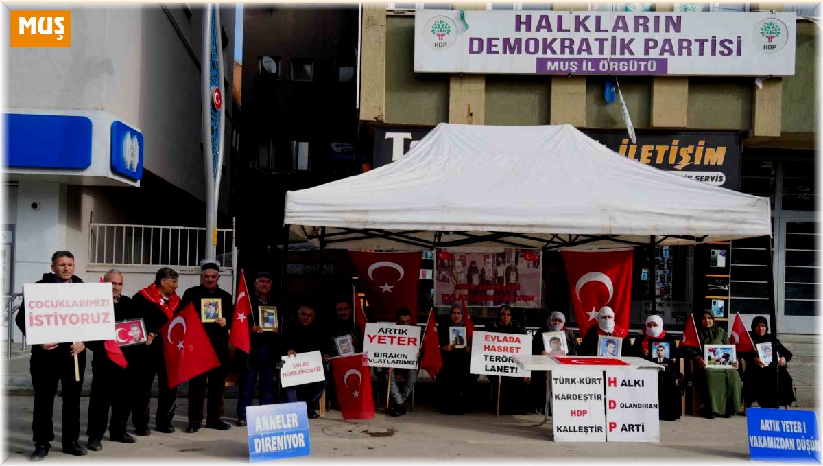 Acılı anne Necibe Çiftçi: "HDP ve PKK bir oğlumu dağa kaçırdı, bir oğlumu ise infaz etti"