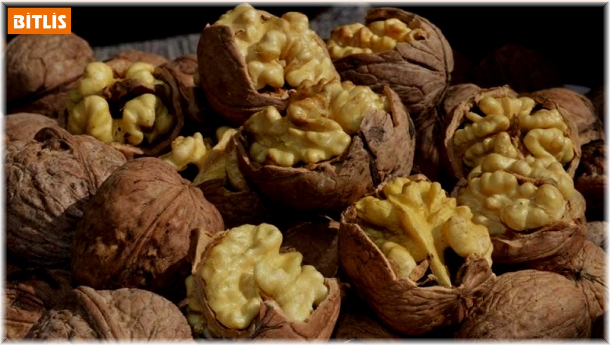 Adilcevaz 25. Ceviz Festivali Ve Kültür Etkinlikleri düzenlenecek