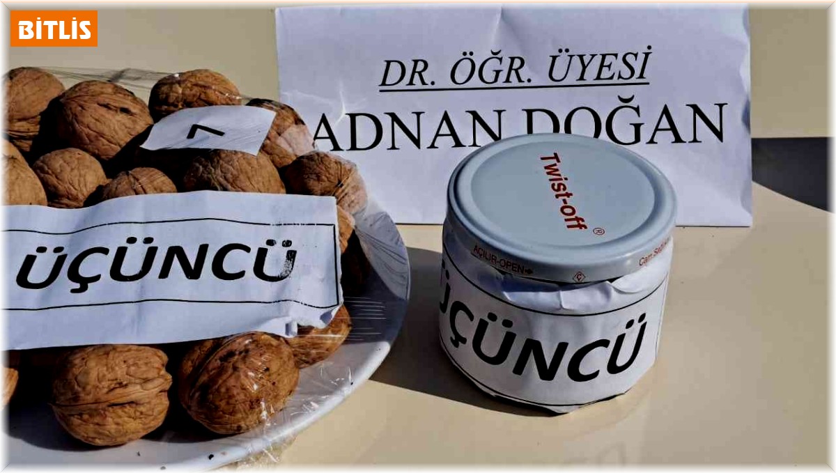 Adilcevaz'da 25. Ceviz Festivali ve Kültür Etkinlikleri düzenlendi