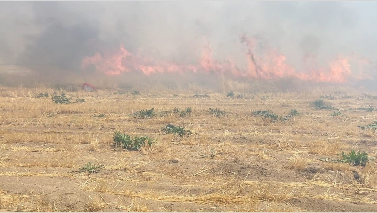 Adilcevaz'da arpa tarlasında yangın