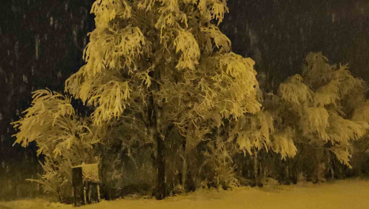 Adilcevaz'da kar yağışı beraberinde güzel görüntüler getirdi