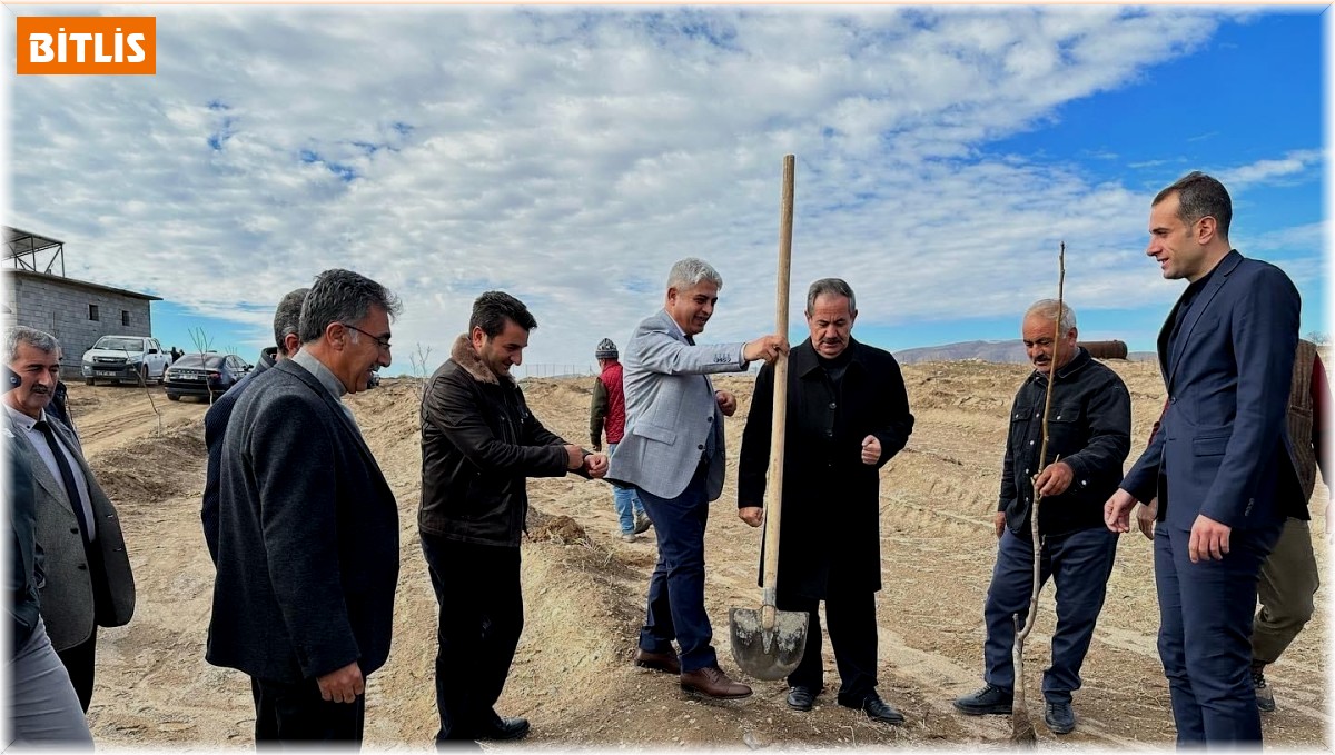 Adilcevaz'da kurulan "Ceviz Gen Bahçesi" çiftçinin yüzünü güldürdü