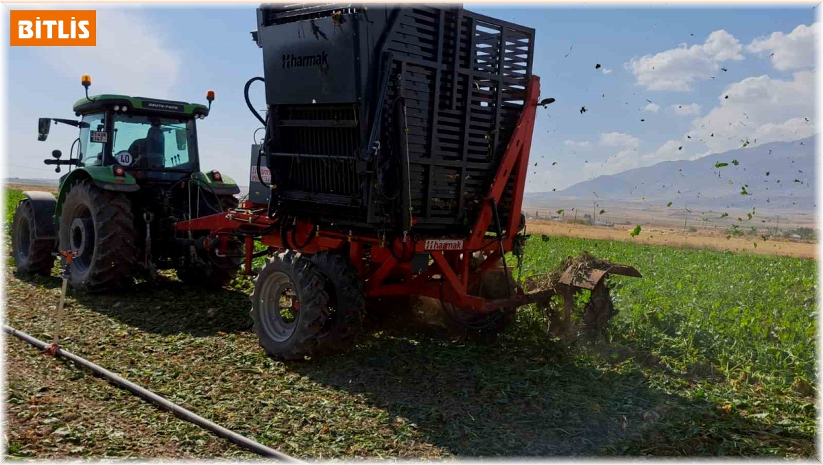 Adilcevaz'da pancar sökümüne başlandı