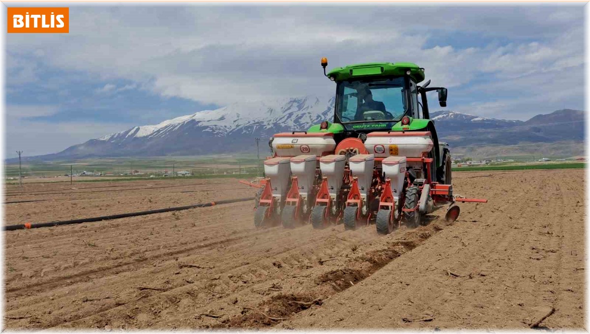 Adilcevaz'da şeker pancarı ekimi başladı