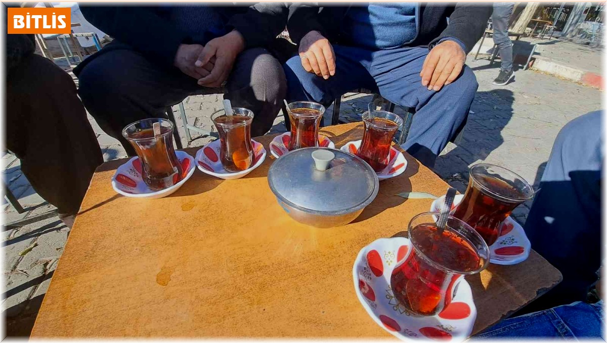 Adilcevaz'da yalancı bahar