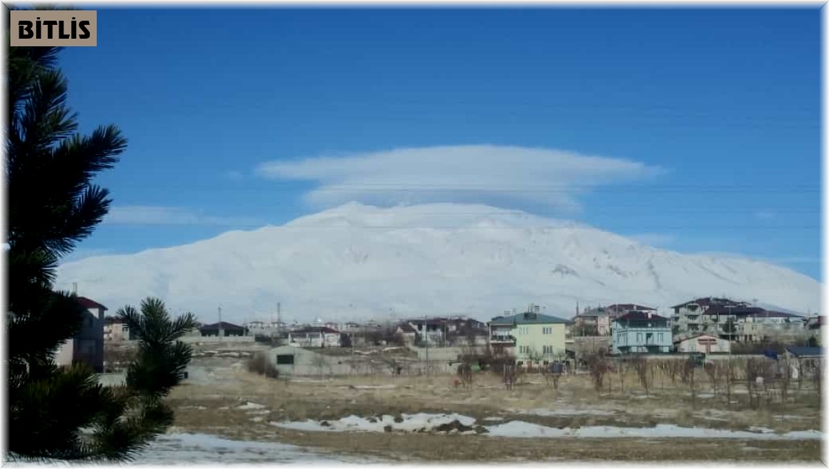 Adilcevaz'da yalancı bahar