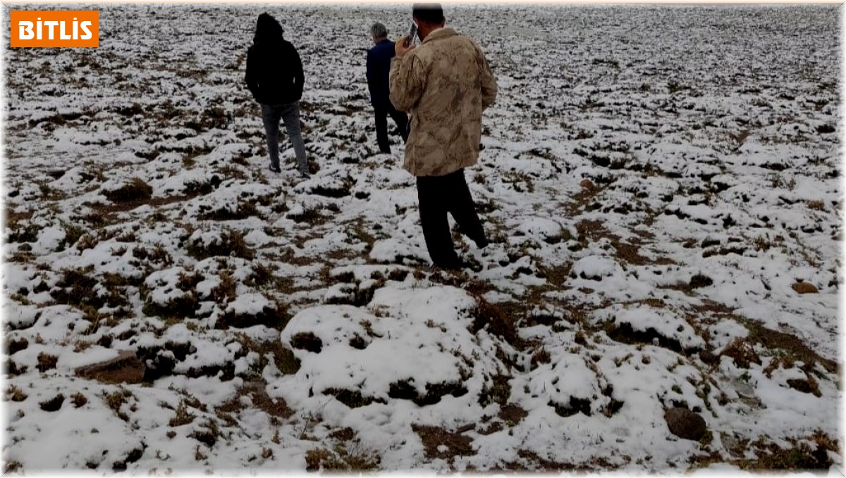 Adilcevaz'ın yüksek kesimleri beyaza büründü