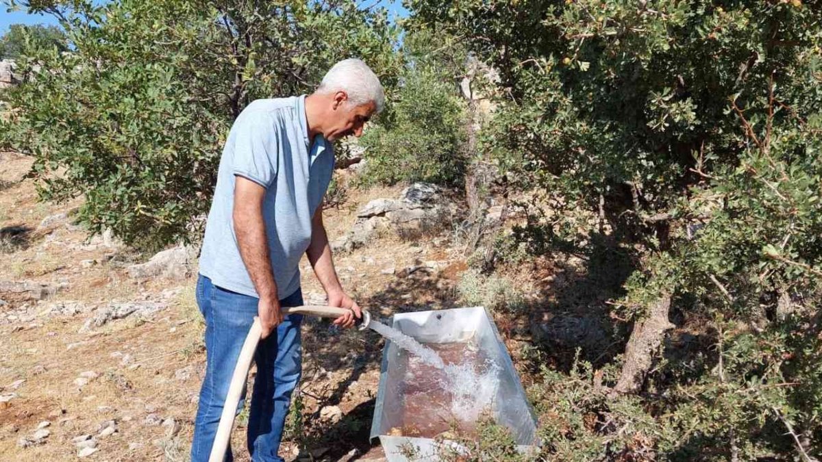 Adıyaman'da yaban hayvanları için doğaya su bırakıldı