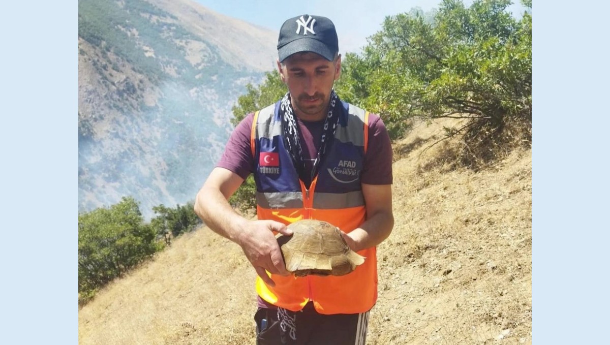 AFAD gönüllüsü yangın bölgesindeki kaplumbağayı kurtardı
