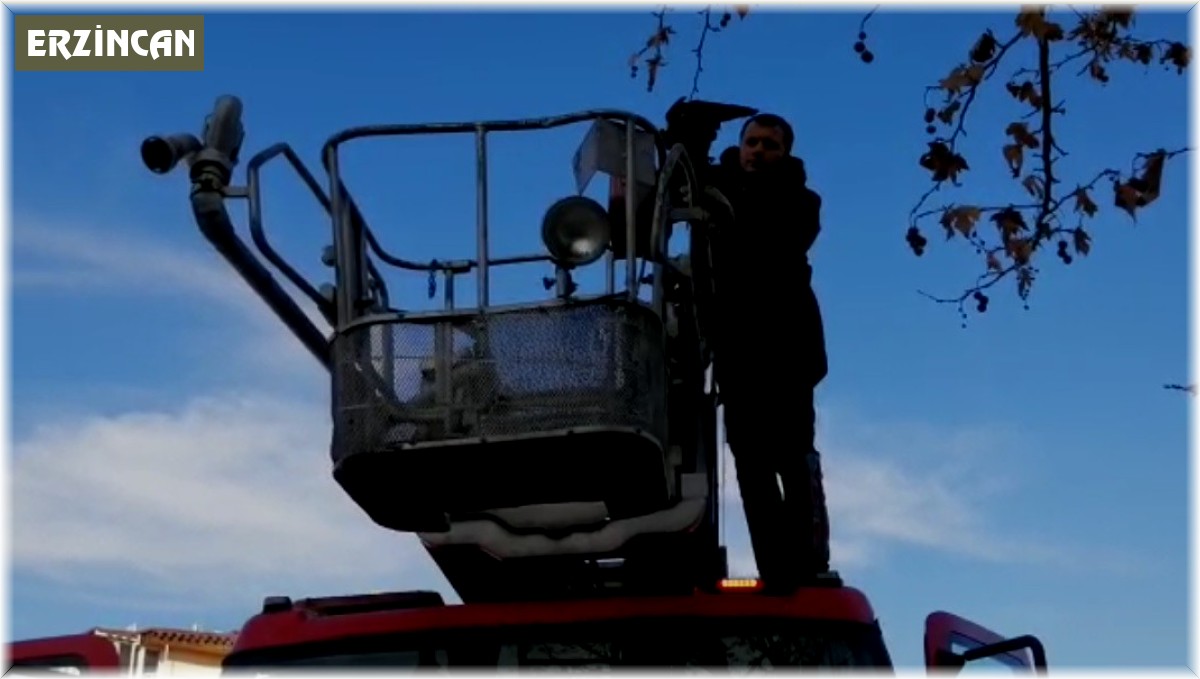 Ağaca takılan kargayı itfaiye kurtardı