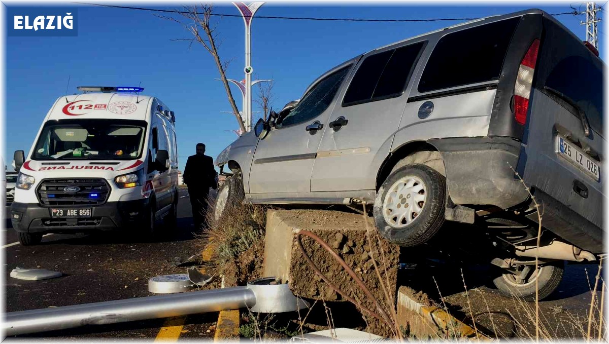 Ağaca ve aydınlatma direğine çarpan hafif ticari araç asılı kaldı: 1 yaralı