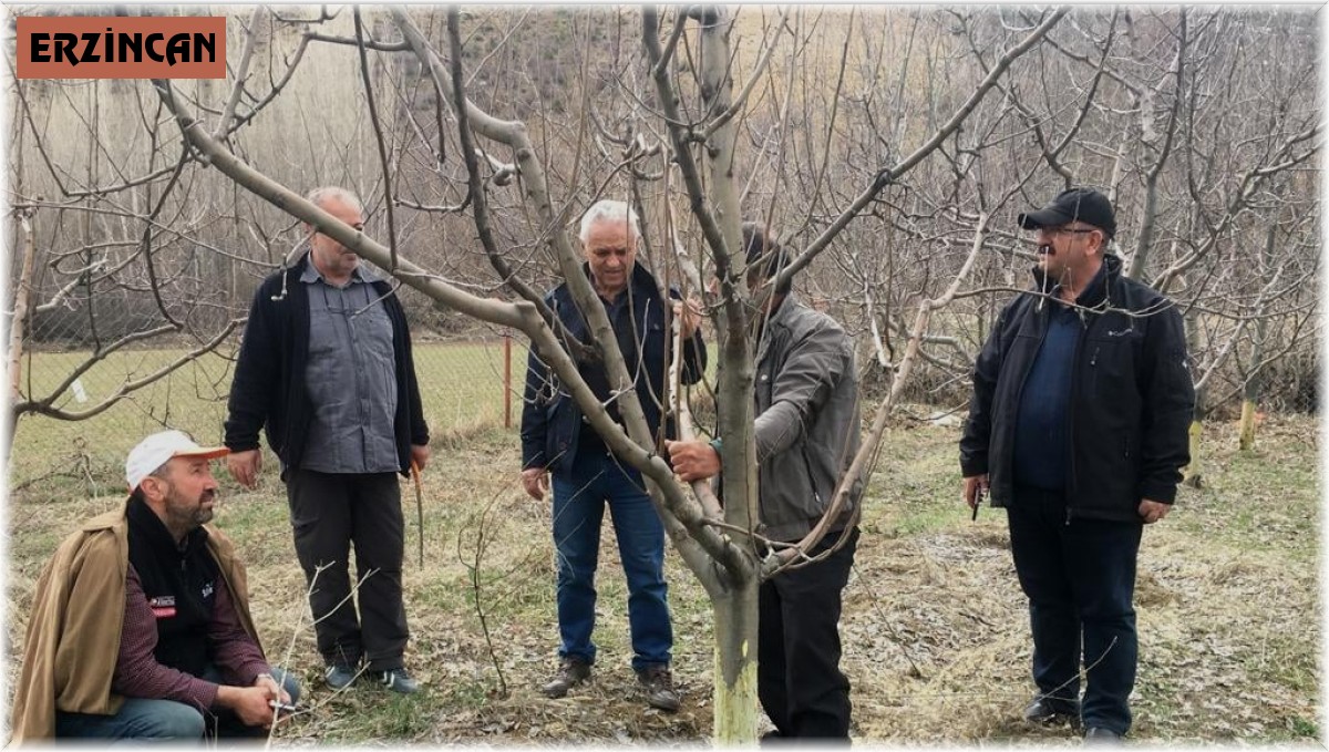 Ağaçları kemiren tavşanlar şikâyet konusu oldu