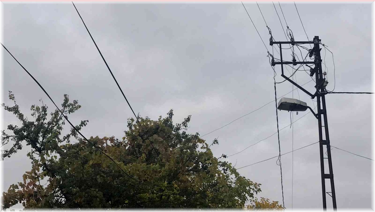 Ağaçların arasında kalan elektrik telleri tehlike saçıyor, vatandaşlar çözüm bekliyor