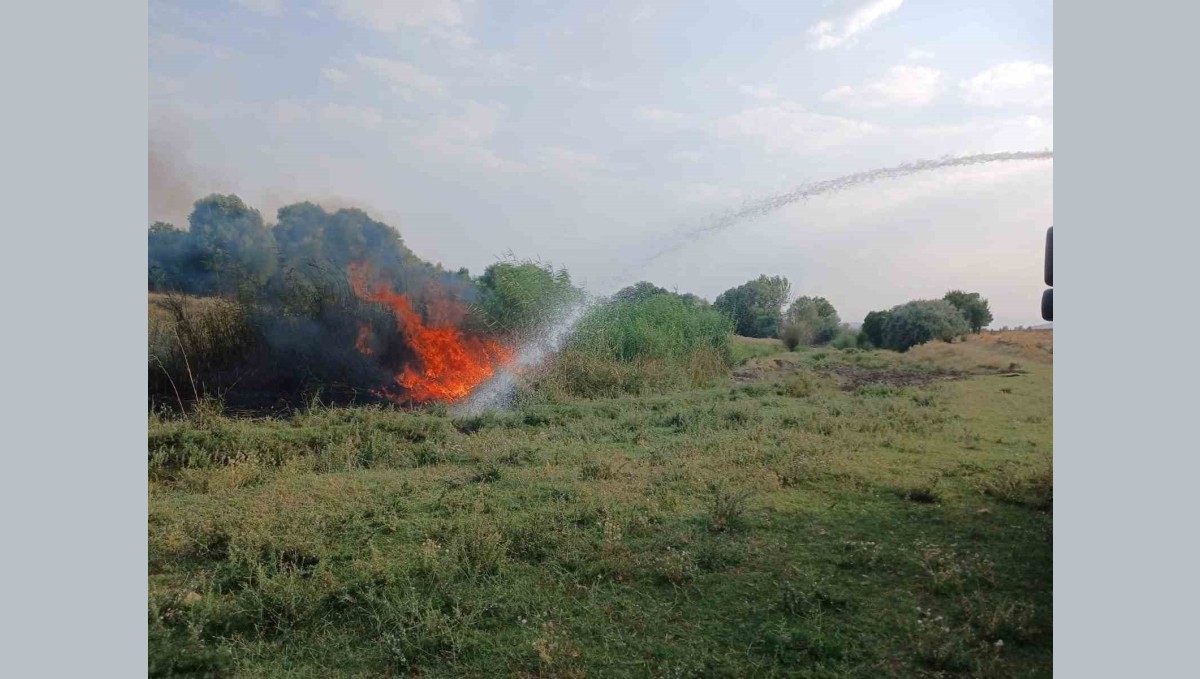 Ağaçlık alanda çıkan yangın itfaiye ekiplerince söndürüldü