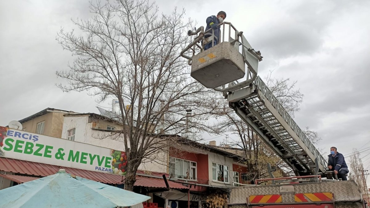 Ağaçta mahsur kalan kedi kurtarıldı