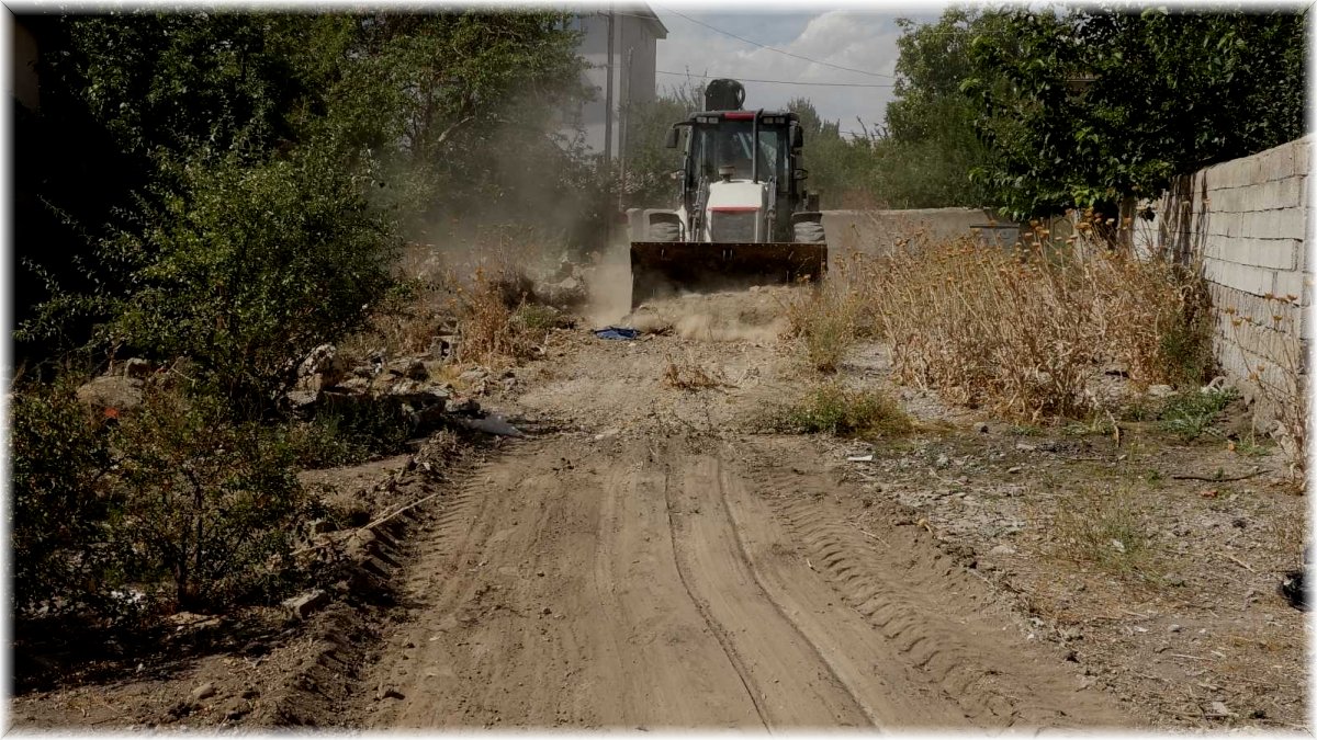 Ağaçta mahsur kalan kedi kurtarıldı