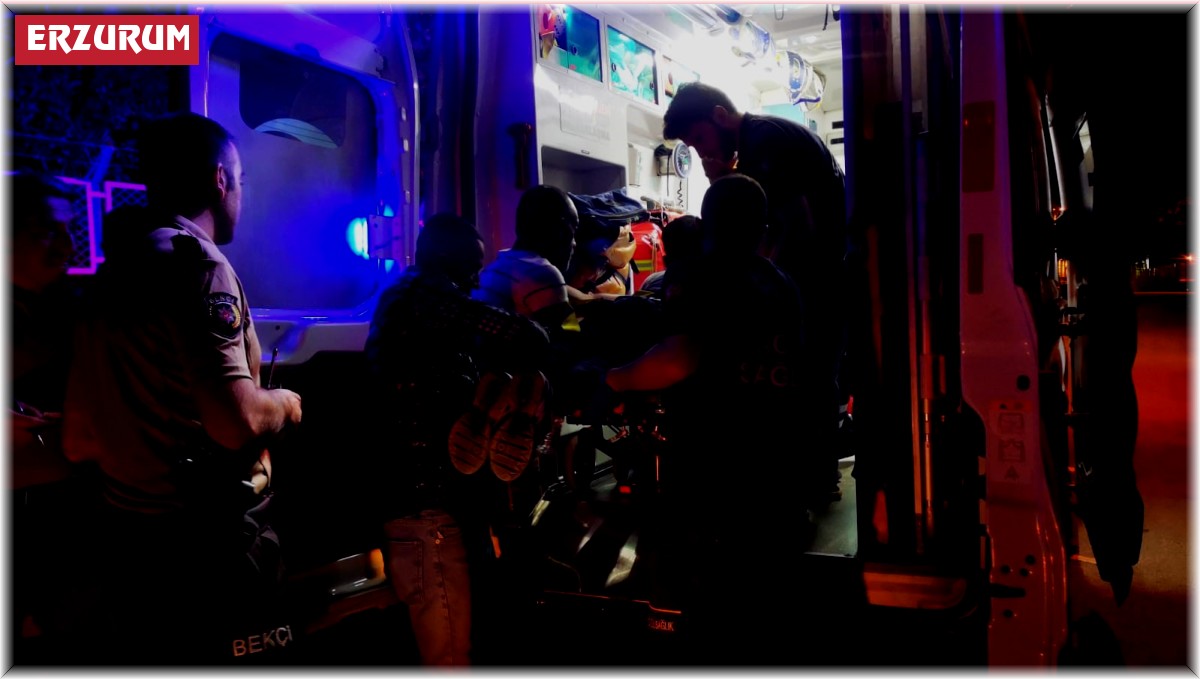 Ağaçtan düşen çocuk yaralandı