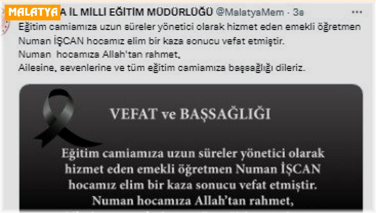 Ağaçtan düşen emekli müdür hayatını kaybetti