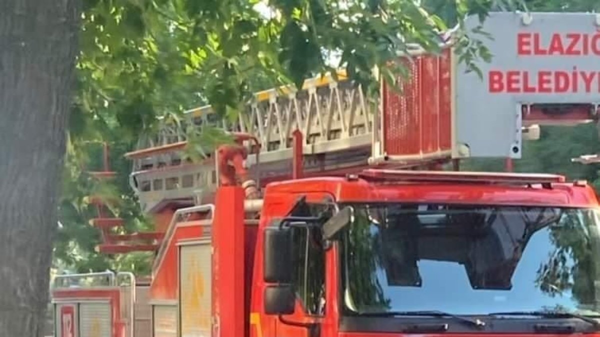 Ağaçtan düşen yavru kargayı yuvasına bıraktılar