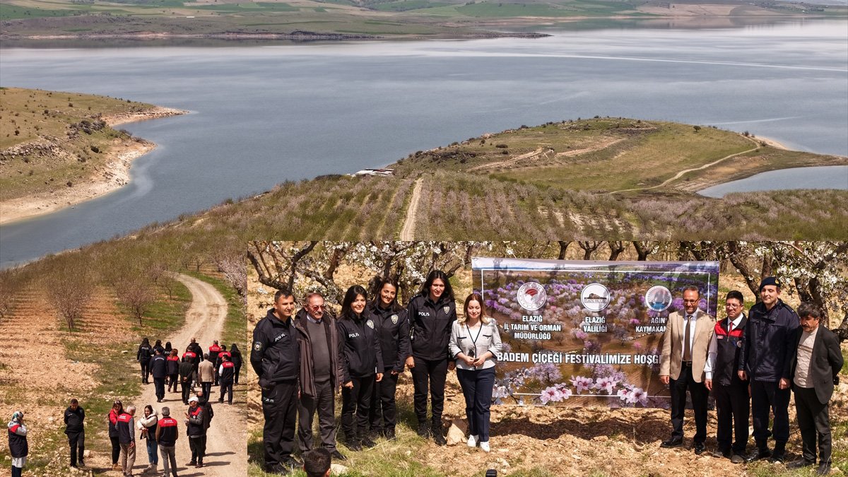 Ağın'da Badem Çiçeği Festivali: Çiçek açan bahçelerde renkli yürüyüş