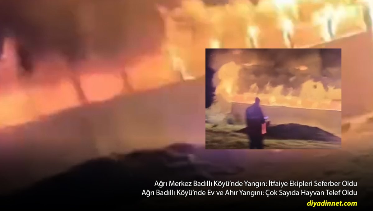 Ağrı Badıllı Köyü'nde Ev ve Ahır Yangını: Çok Sayıda Hayvan Telef Oldu