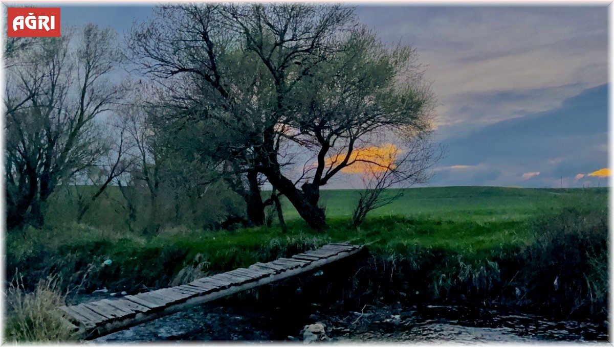 Ağrı baharla beraber renklere boyandı